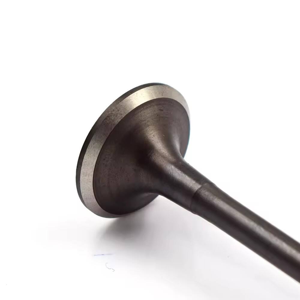 Чаро ҳидравлик лифтҳои сифати баланд барои манқил муҳиманд