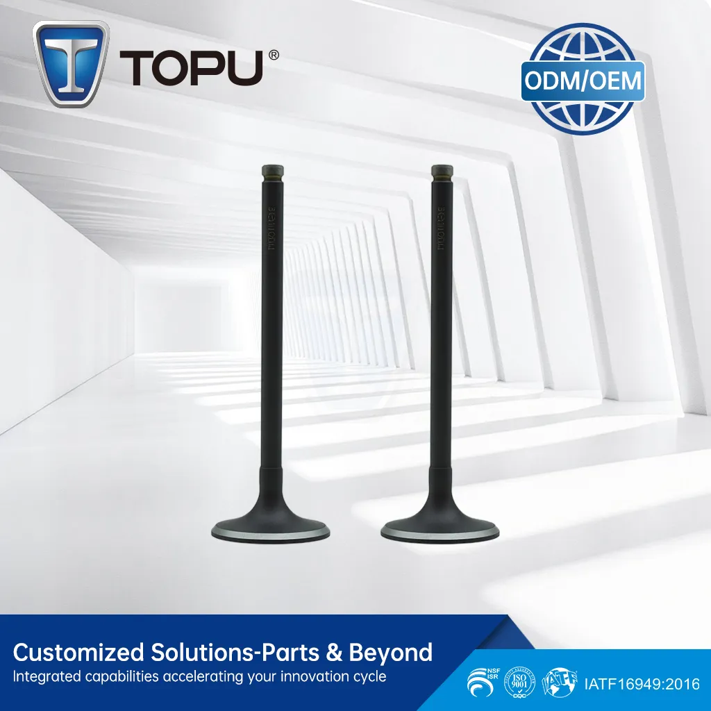 NISS TSUBAME,LUCINO 1.6L DOHC