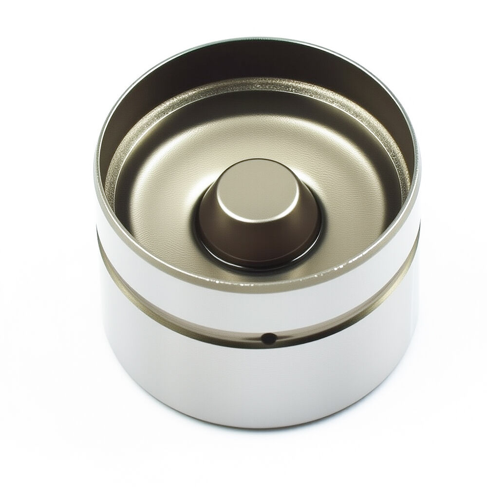 TP75 Auto Engine Parts 85014200 7350 3122 46787055 420 0208 10 265805 LGR 100100 Hydraulic Tappet Valve Lifter for Fiat 5