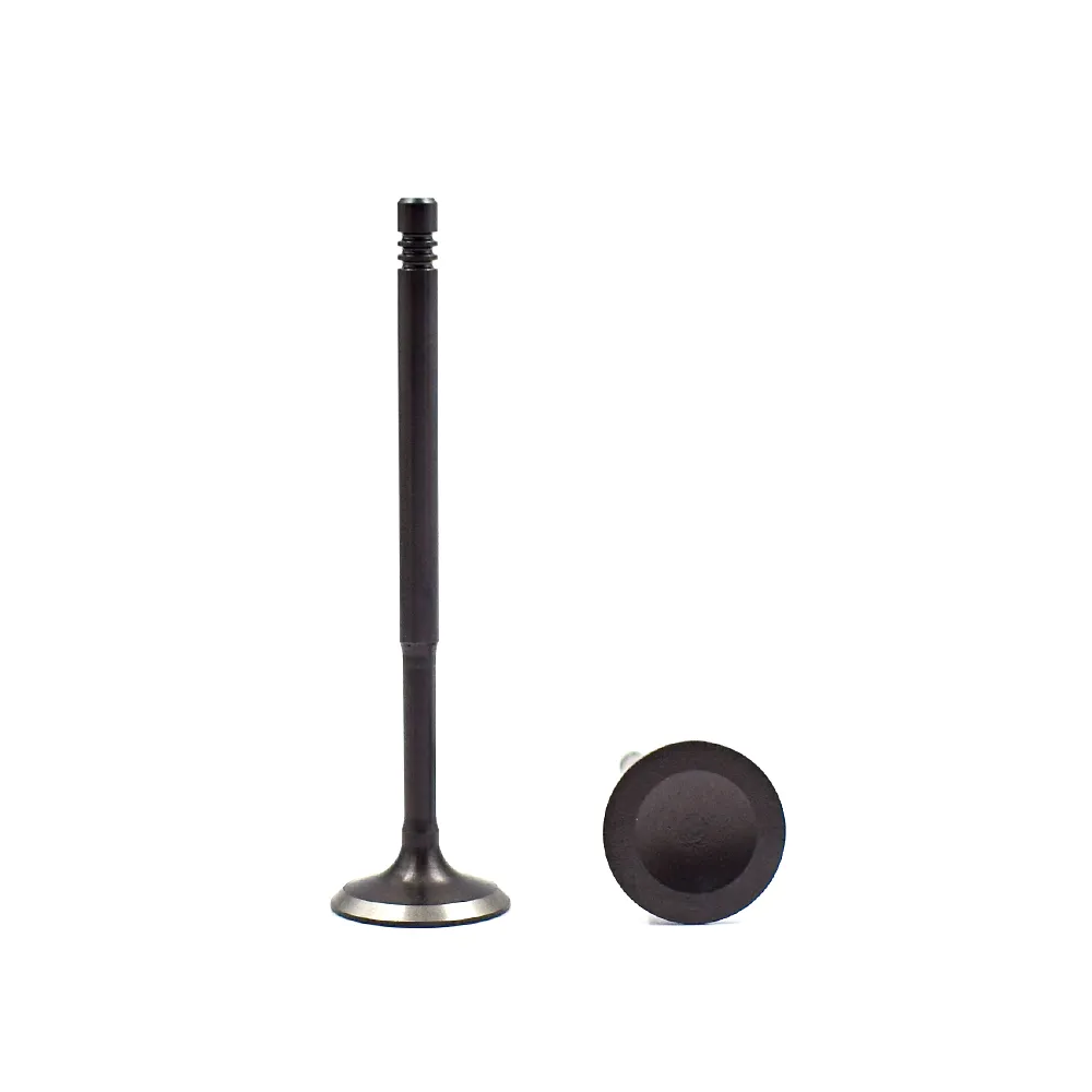 Hot Selling High Quality Intake & Exhaust Valves for Volkswagen B51.8 058109601C 058109611E ANQ 3