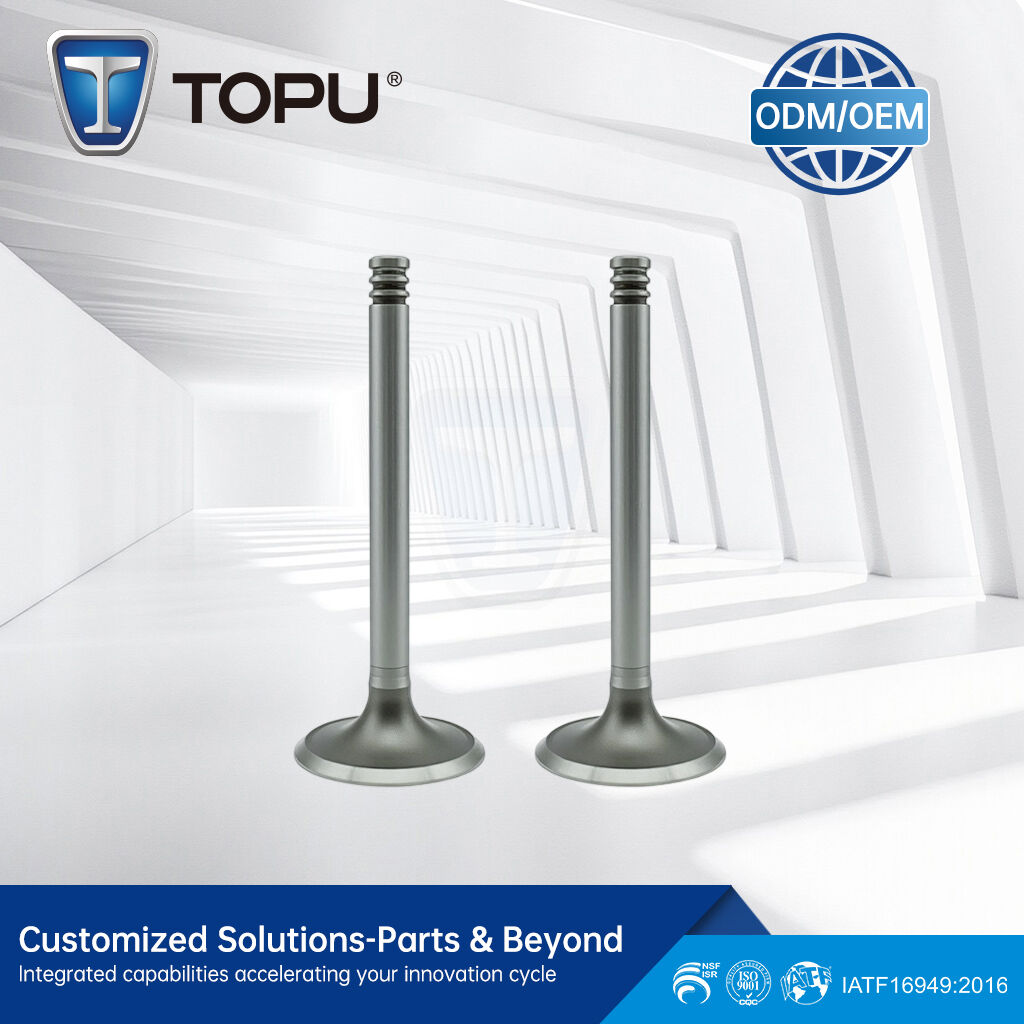 Engine Valve For VAL ADM VW GOLF,JETTA,CORSAR 1.8L IN:815-A