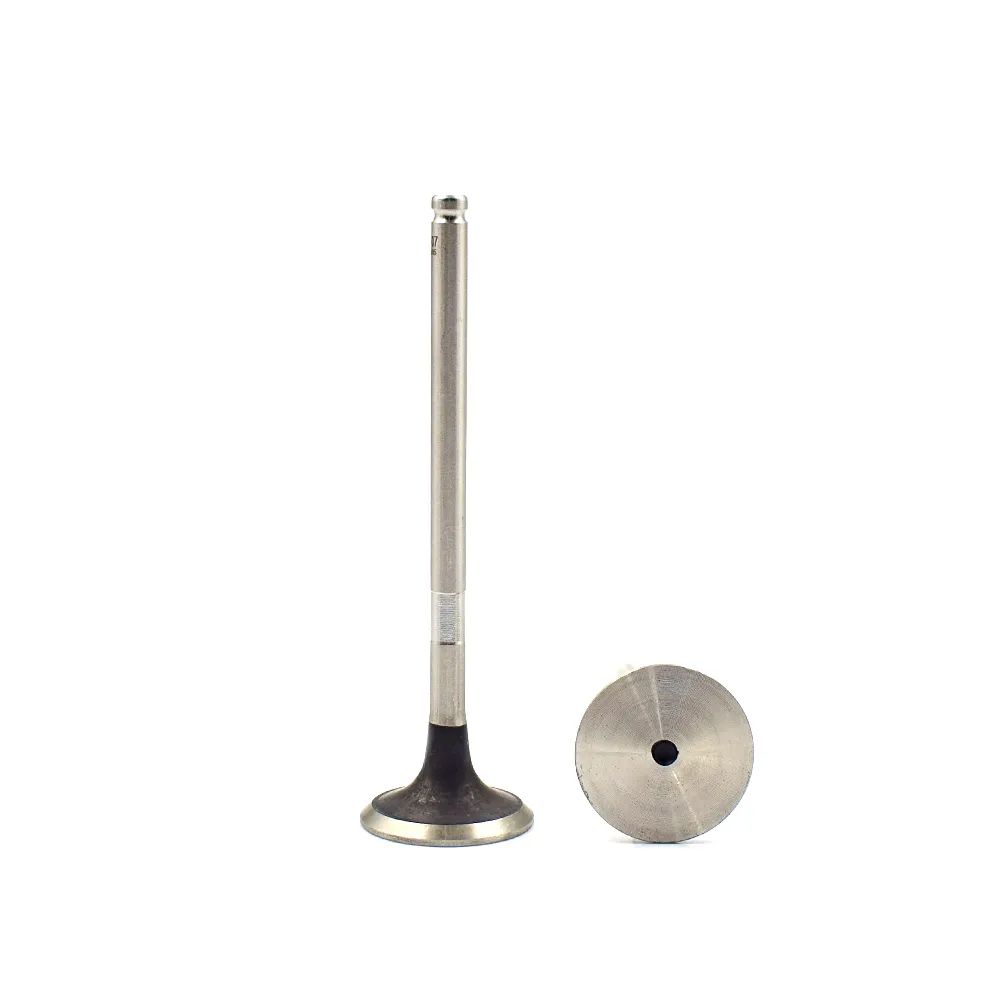 Engine Parts 0948.99 0949.99 Used for peugeot 307 2.0 16V Engine Valve for Sale 3