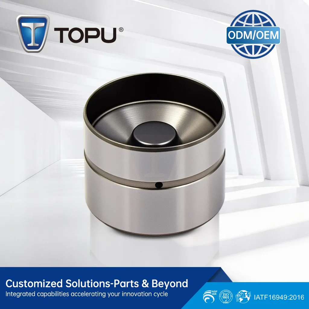 TP68 034109309AD 034109309 034109309AC 420002210 Hydraulic Tappet Lifter Valve Lifter for Vw Golf 8v Gti Audi