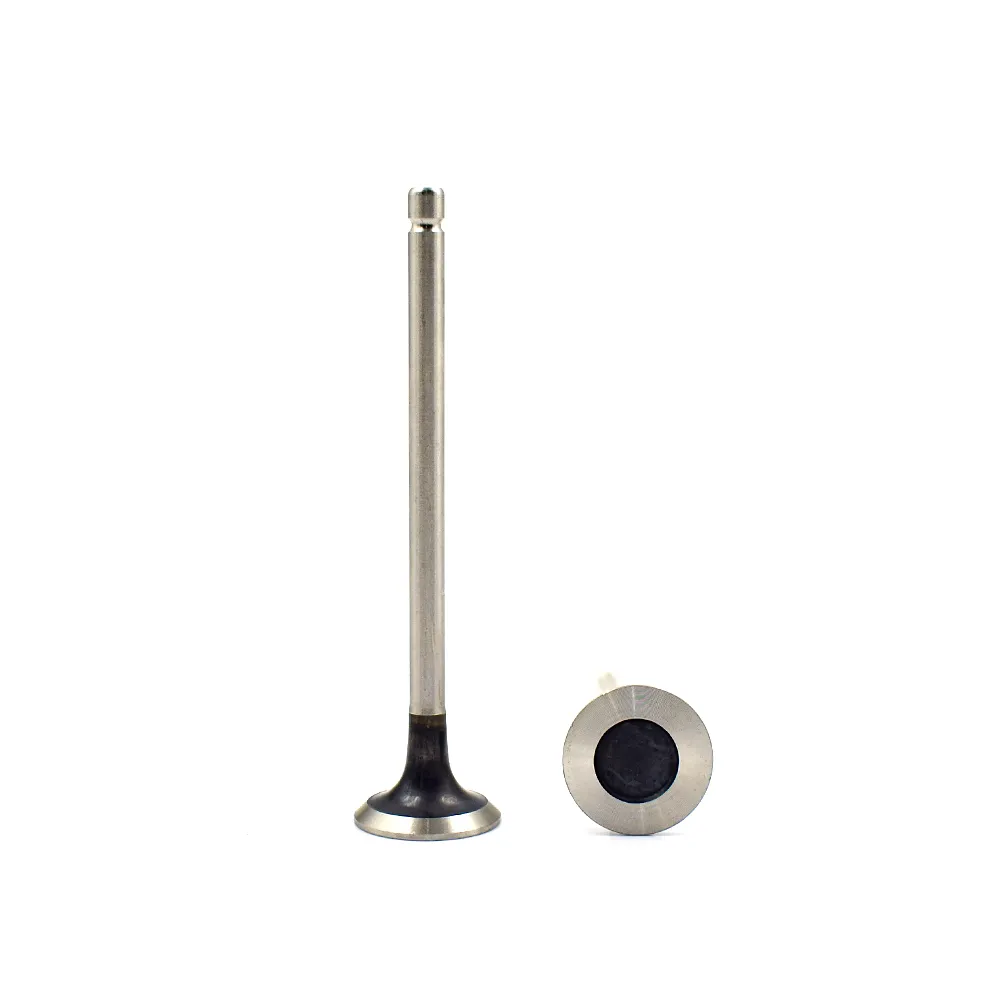 Engine Intake Exhaust Valve 0948.E8 0949.E2 peugeot 207 308 1.6 16V for Sale 3