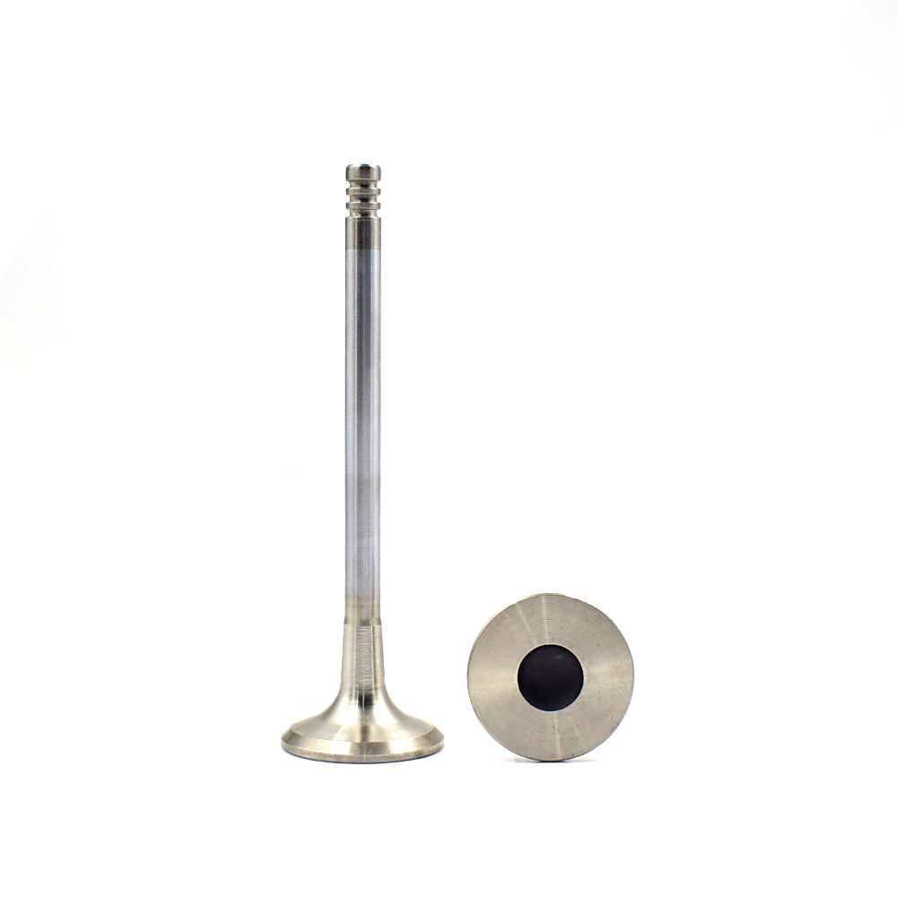 Innovation in Intake Valve Design