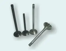 high quality  in stock stainless steel engine valve intake and exhaust valve OEM IN:641 034  EX:641 340 for toyota 5