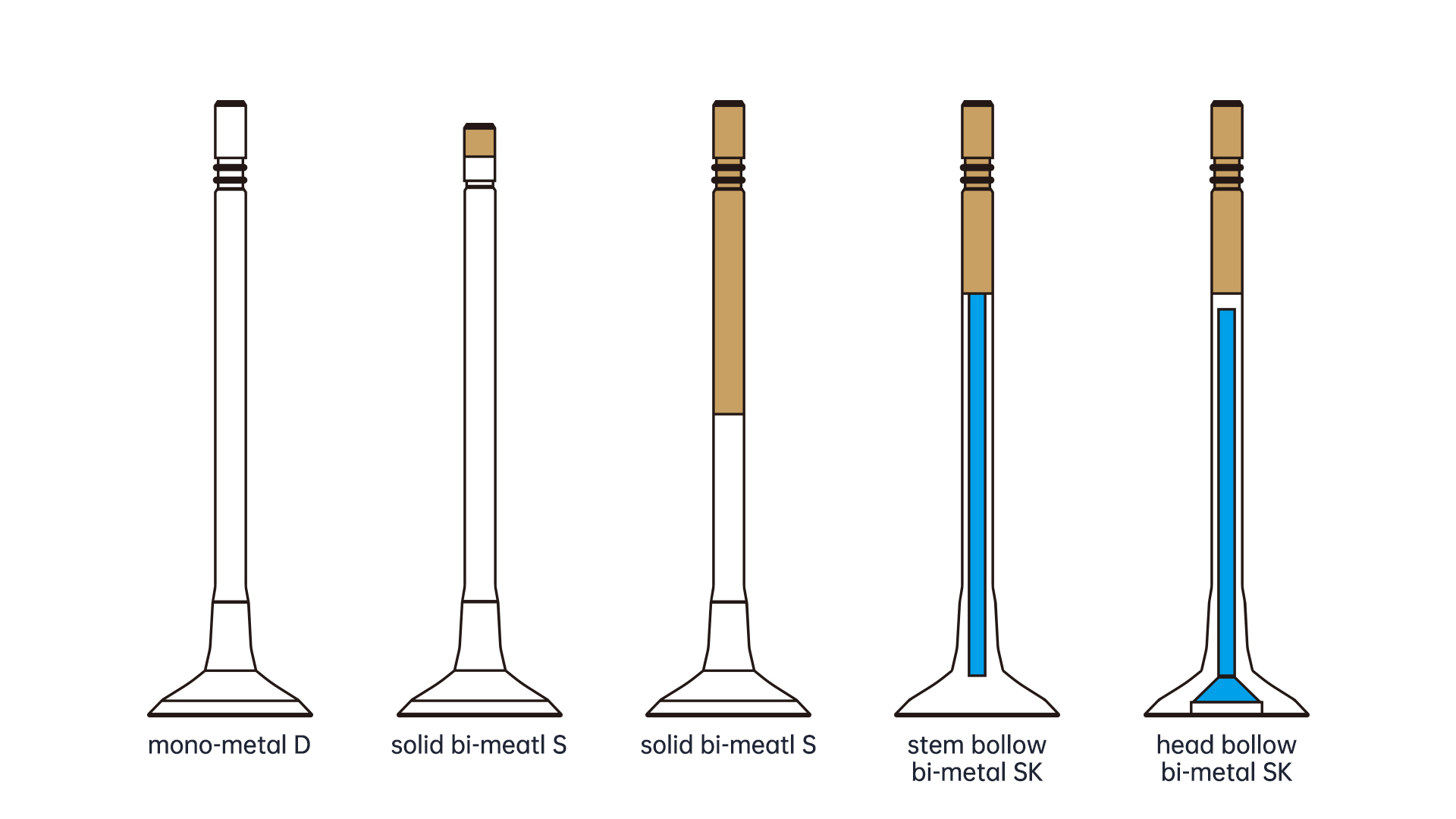 Valve Types and Treatments