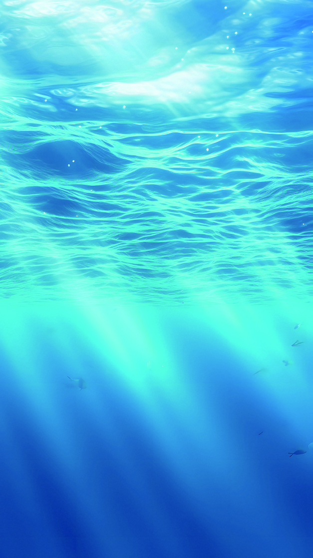 Sustainable Development